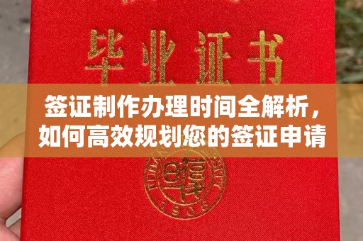 洞口签证制作办理时间全解析，如何高效规划您的签证申请流程