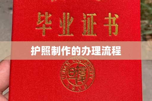 洞口护照制作的办理流程