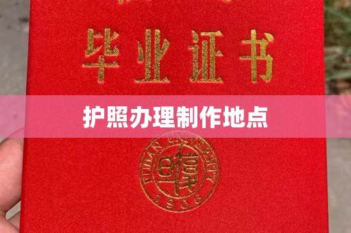 洞口护照办理制作地点