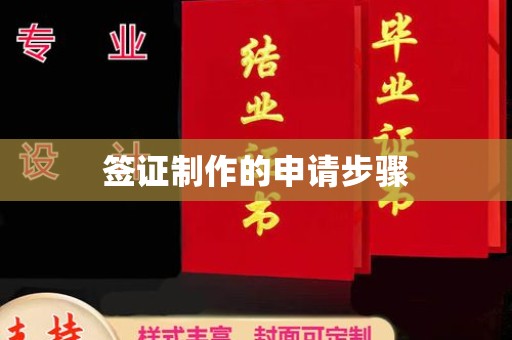 洞口签证制作的申请步骤