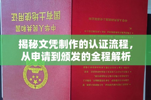 洞口揭秘文凭制作的认证流程，从申请到颁发的全程解析