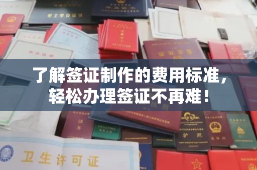 洞口了解签证制作的费用标准，轻松办理签证不再难！