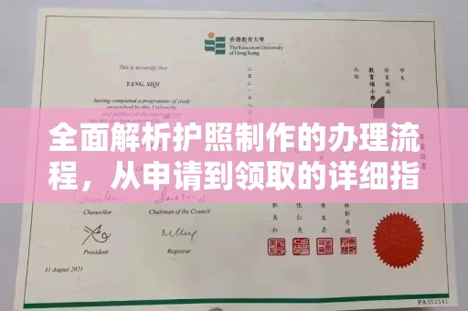 洞口全面解析护照制作的办理流程，从申请到领取的详细指南