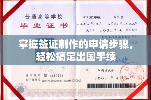 洞口掌握签证制作的申请步骤，轻松搞定出国手续