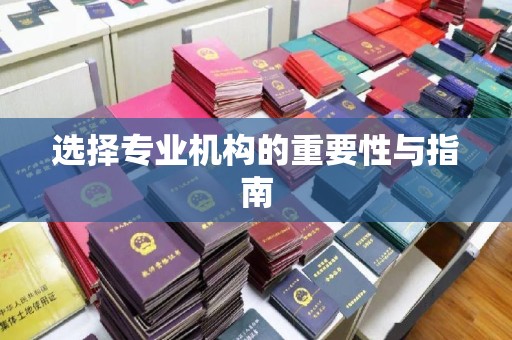 洞口选择专业机构的重要性与指南
