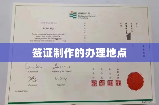 洞口签证制作的办理地点