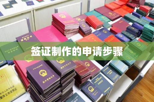 洞口签证制作的申请步骤