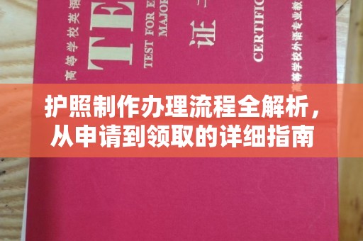 洞口护照制作办理流程全解析，从申请到领取的详细指南