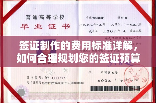 洞口签证制作的费用标准详解，如何合理规划您的签证预算