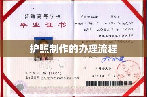 洞口护照制作的办理流程